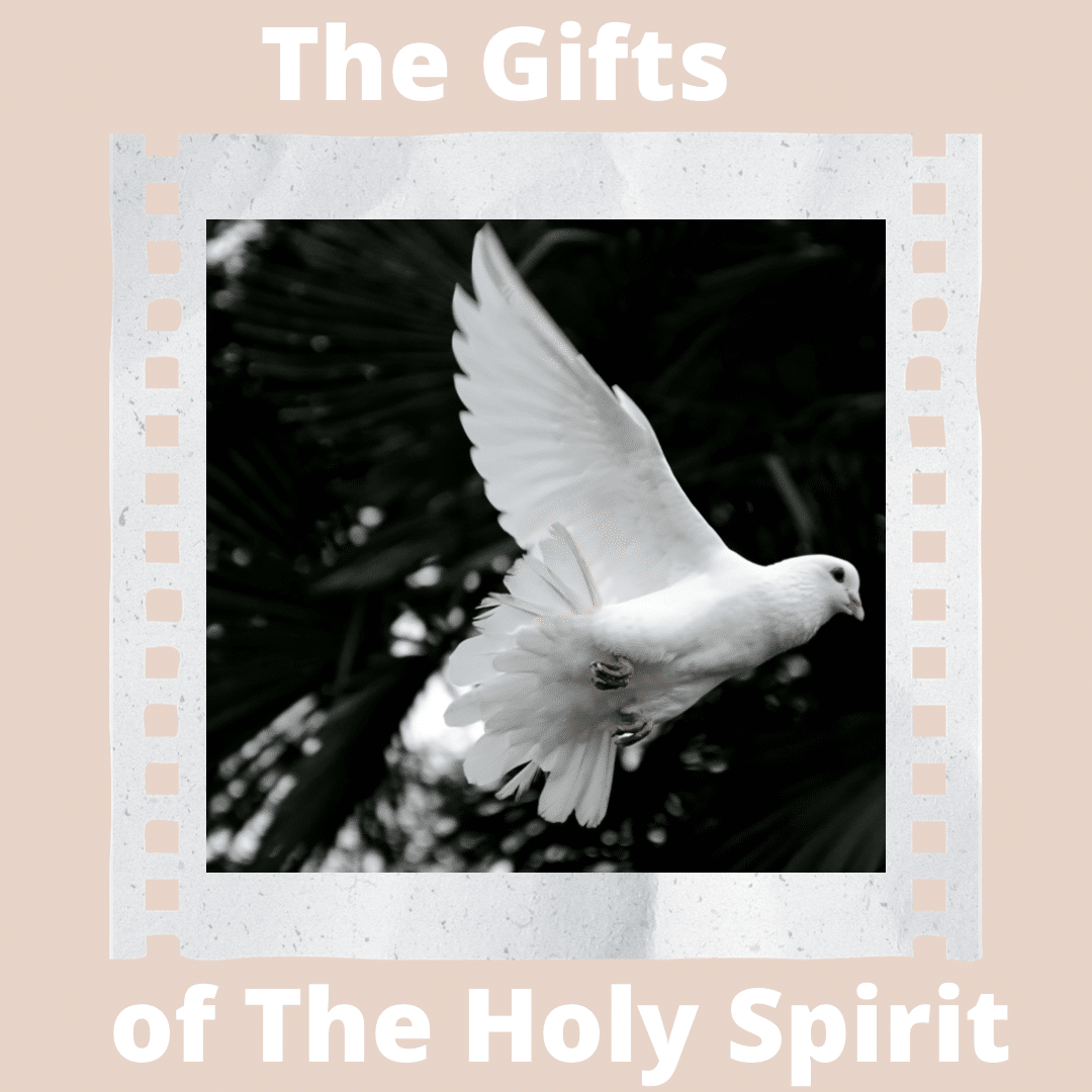 Dove with The Gifts of the Holy Spirit